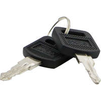Environ Keys for Front/Rear Doors and Side Panels - Spare Set